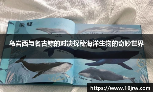 鸟岩西与名古鲸的对决探秘海洋生物的奇妙世界